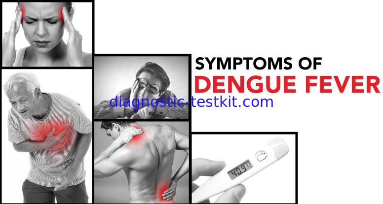 CE Mark Diagnostic Test Kits Dengue Ns1 Rapid Test , WB / S / P Avaliable